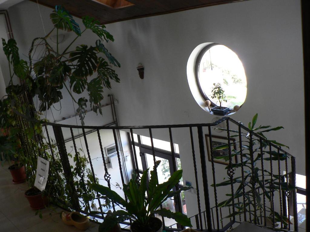 Casa Havana (Adults Only) Costinesti Eksteriør bilde