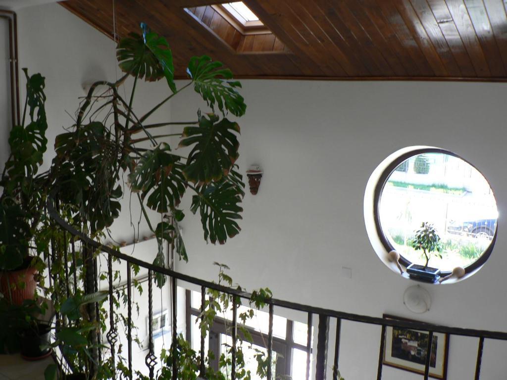 Casa Havana (Adults Only) Costinesti Eksteriør bilde