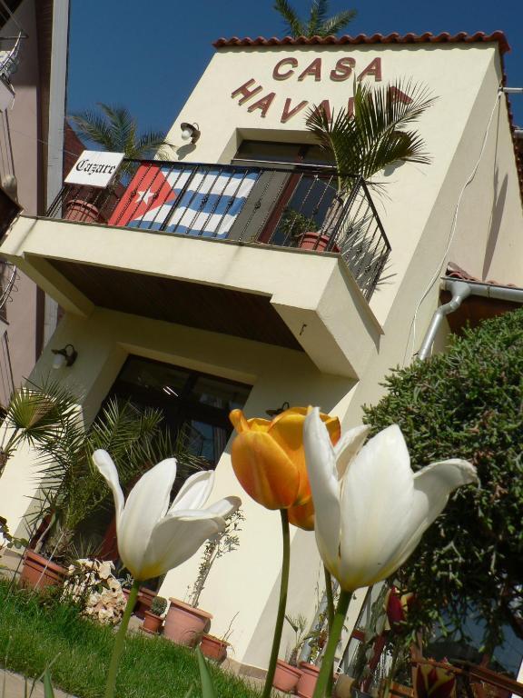 Casa Havana (Adults Only) Costinesti Eksteriør bilde